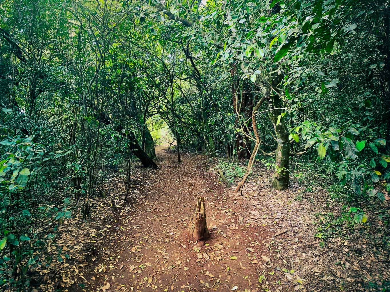 Safe Use of AI: Benefits, Risks, and Boundaries from a Therapist with a Tech Background.